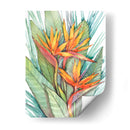 Paradise Botánico Tropical Ii - Tim OToole | Cuadro decorativo de Canvas Lab