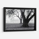 Fuerza - Belleza - Laura DeNardo | Cuadro decorativo de Canvas Lab