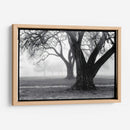 Fuerza - Belleza - Laura DeNardo | Cuadro decorativo de Canvas Lab