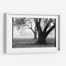 Fuerza - Belleza - Laura DeNardo | Cuadro decorativo de Canvas Lab