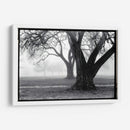 Fuerza - Belleza - Laura DeNardo | Cuadro decorativo de Canvas Lab