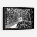 Paseo Marítimo - Laura DeNardo | Cuadro decorativo de Canvas Lab