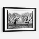 Conservatorio Ii - Laura DeNardo | Cuadro decorativo de Canvas Lab