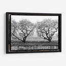 Conservatorio Ii - Laura DeNardo | Cuadro decorativo de Canvas Lab