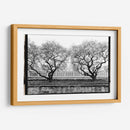 Conservatorio Ii - Laura DeNardo | Cuadro decorativo de Canvas Lab