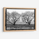 Conservatorio Ii - Laura DeNardo | Cuadro decorativo de Canvas Lab