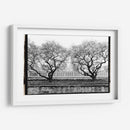 Conservatorio Ii - Laura DeNardo | Cuadro decorativo de Canvas Lab