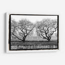 Conservatorio Ii - Laura DeNardo | Cuadro decorativo de Canvas Lab