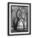 Sombra De Verano Iii - Laura DeNardo | Cuadro decorativo de Canvas Lab