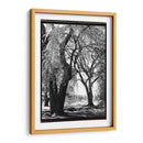 Sombra De Verano Iii - Laura DeNardo | Cuadro decorativo de Canvas Lab