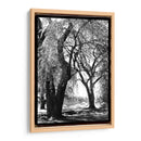 Sombra De Verano Iii - Laura DeNardo | Cuadro decorativo de Canvas Lab