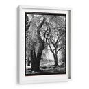 Sombra De Verano Iii - Laura DeNardo | Cuadro decorativo de Canvas Lab