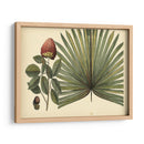 Palma Antigua Brasileña - William Henry Brown | Cuadro decorativo de Canvas Lab