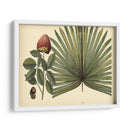 Palma Antigua Brasileña - William Henry Brown | Cuadro decorativo de Canvas Lab