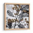 Holly Sombra I - Gerard Paul Deshayes | Cuadro decorativo de Canvas Lab
