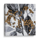 Holly Shadow Ii - Gerard Paul Deshayes | Cuadro decorativo de Canvas Lab