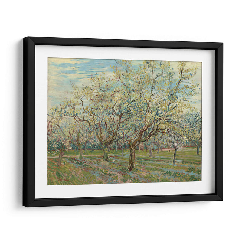 El huerto blanco - Vincent Van Gogh | Cuadro decorativo de Canvas Lab