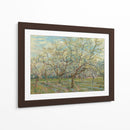 El huerto blanco - Vincent Van Gogh | Cuadro decorativo de Canvas Lab