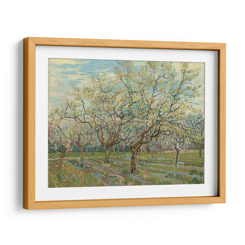 El huerto blanco - Vincent Van Gogh | Cuadro decorativo de Canvas Lab