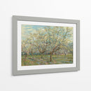 El huerto blanco - Vincent Van Gogh | Cuadro decorativo de Canvas Lab