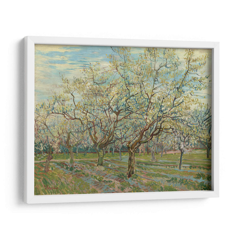 El huerto blanco - Vincent Van Gogh | Cuadro decorativo de Canvas Lab