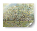 El huerto blanco - Vincent Van Gogh | Cuadro decorativo de Canvas Lab