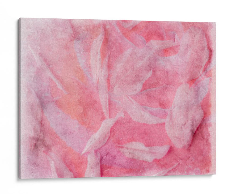 Esencia Coral I - Paul McCreery | Cuadro decorativo de Canvas Lab