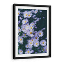 Margaritas lila | Cuadro decorativo de Canvas Lab