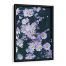 Margaritas lila | Cuadro decorativo de Canvas Lab