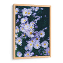 Margaritas lila | Cuadro decorativo de Canvas Lab