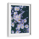 Margaritas lila | Cuadro decorativo de Canvas Lab