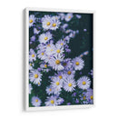 Margaritas lila | Cuadro decorativo de Canvas Lab