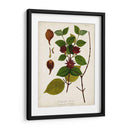 Grearia Antigua I | Cuadro decorativo de Canvas Lab