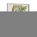 Antiguo Vegetación V | Cuadro decorativo de Canvas Lab