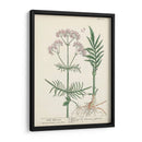 Hierbas Antiguas I | Cuadro decorativo de Canvas Lab