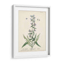 Hierbas Antiguas Ii | Cuadro decorativo de Canvas Lab
