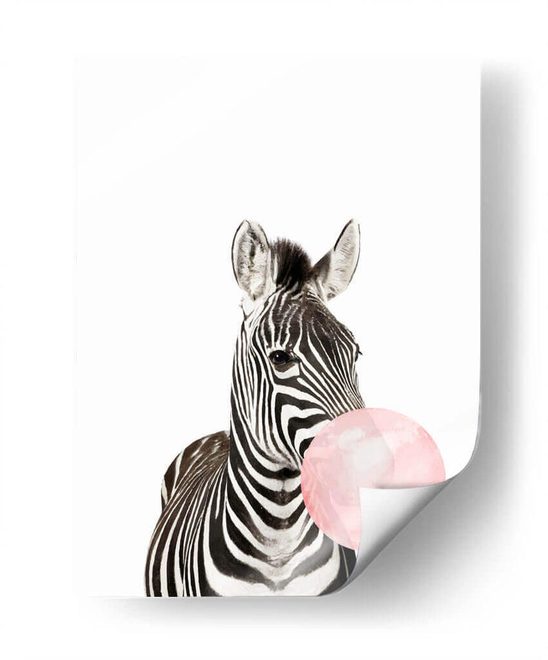 Zebra Bubble Gum | Cuadro decorativo de Canvas Lab
