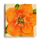 Pétalos De Cobre I - Jacob Green | Cuadro decorativo de Canvas Lab