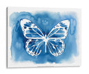 Mariposa Inkling Ii - Grace Popp | Cuadro decorativo de Canvas Lab