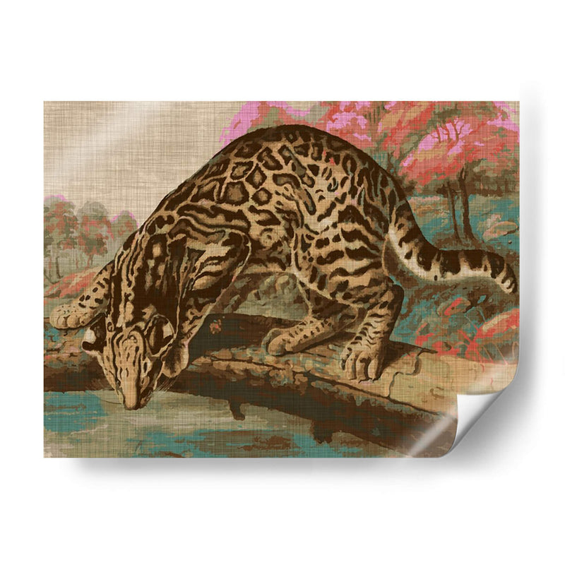 Gato Urbano De La Jungla - Jarman Fagalde | Cuadro decorativo de Canvas Lab