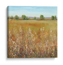 Abundancia De Flores Silvestres I - Tim OToole | Cuadro decorativo de Canvas Lab