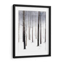 Paseo De Invierno Nebuloso I - Grace Popp | Cuadro decorativo de Canvas Lab