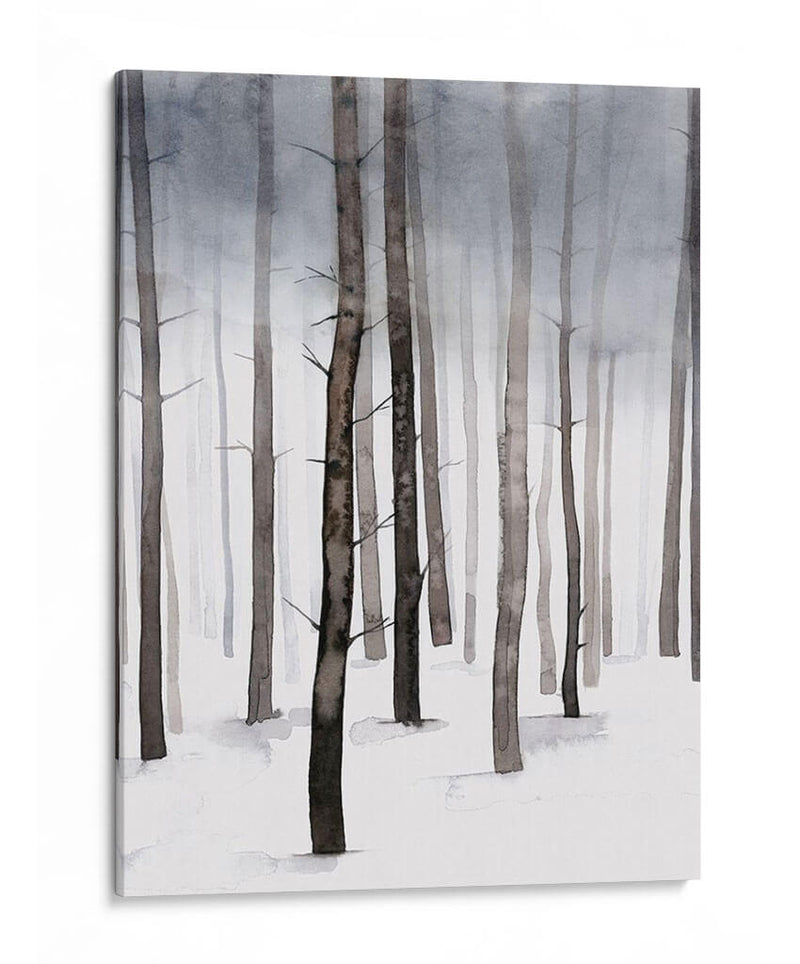 Hojido Winter Walk Ii - Grace Popp | Cuadro decorativo de Canvas Lab