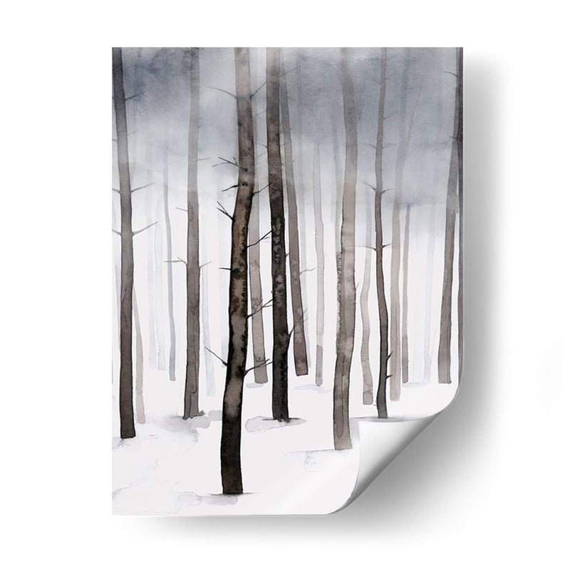 Hojido Winter Walk Ii - Grace Popp | Cuadro decorativo de Canvas Lab