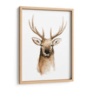 Acuarela Elk Retrato Ii - Grace Popp | Cuadro decorativo de Canvas Lab