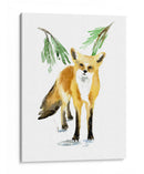 Zorro Nevado Ii - Jacob Green | Cuadro decorativo de Canvas Lab