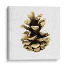 Conífera Cono Iii - Gerard Paul Deshayes | Cuadro decorativo de Canvas Lab