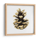 Conífera Cono Iii - Gerard Paul Deshayes | Cuadro decorativo de Canvas Lab