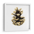 Conífera Cono Iii - Gerard Paul Deshayes | Cuadro decorativo de Canvas Lab