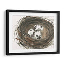 Huevos De Anidación I - Samuel Dixon | Cuadro decorativo de Canvas Lab
